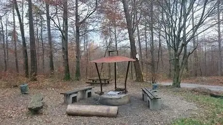 Photo de Wanderparkplatz Pfaffenholz mit Grill