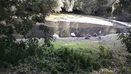 Photo de Parc des Garennes