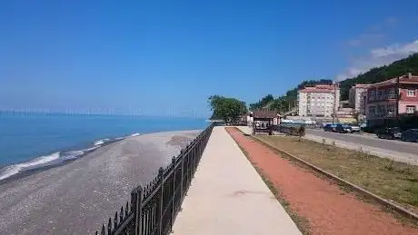 Photo de Sport Condition Park
