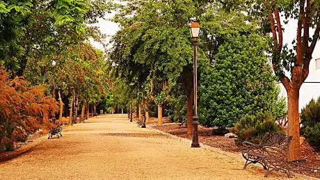 Photo de Poligono de La Vega Park