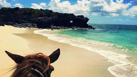 Photo de Ranch anse Macabou