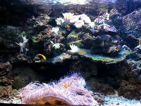 Photo de Aquarien und Terrarienfreunde Freiburg e.V.
