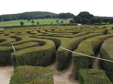 Photo de Longleat Hedge Maze
