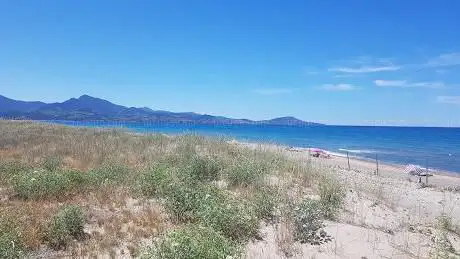 Photo de Plage de la réserve naturelle du Mas Larrieu