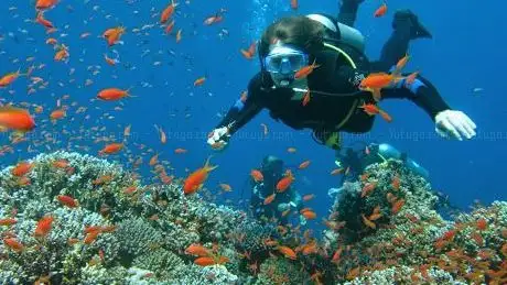 Photo de Deep Blue Divers Dahab