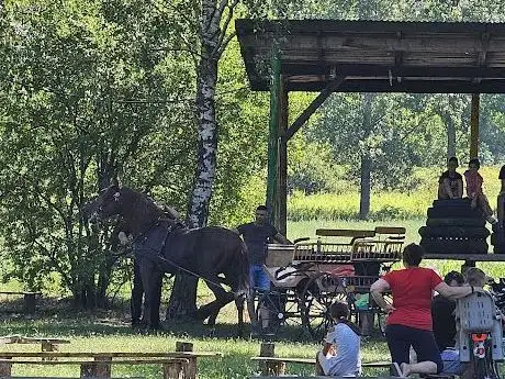 Photo de FK Dunav Bački Monoštor