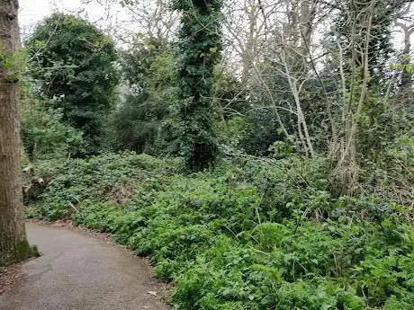 Photo de Kingswood Glen
