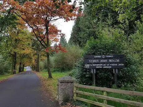 Belvoir Park Forest