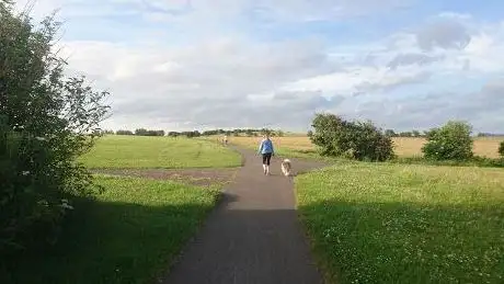 Paddys Hill