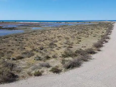 Photo de Estany de Ca l'Arana