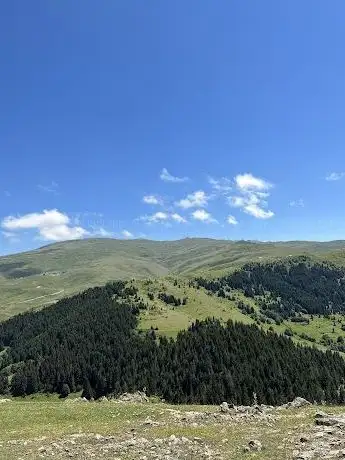 Photo de Çambaşı Yaylası İkidere Obası