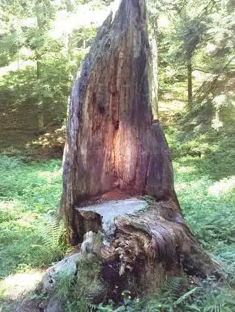 Foto de Le Roi Du Mont