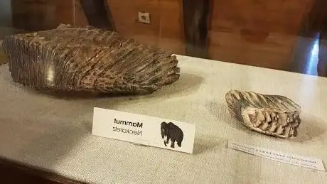 Photo de Stadtmuseum Mosbach