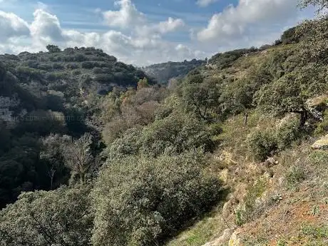 Photo de Observatorio de aves del Arroyo de la Ventilla Arriate