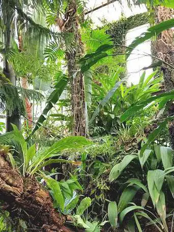 Photo de Les Serres Botaniques