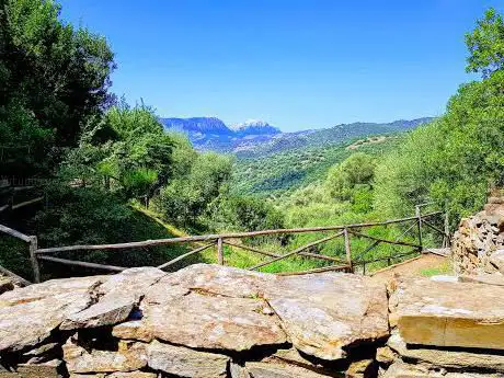 Photo de Fonte Sacra Su Tempiesu