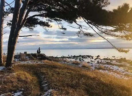 Photo de Kulla Gunnarstorp