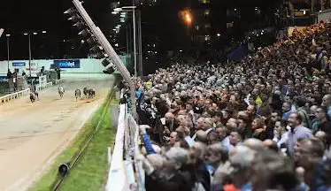 Photo of Shelbourne Park Greyhound Stadium