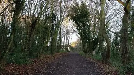 Photo de Rede Common Nature Reserve