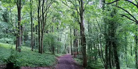 Photo de Penshaw Wood