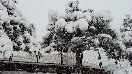 Photo de Park