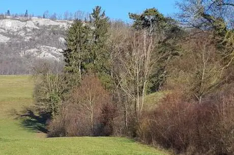 Photo de Parc des Boulaines