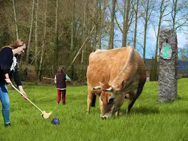 Photo de Golf Paysan