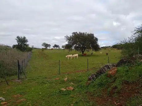 Photo de El Rebellao