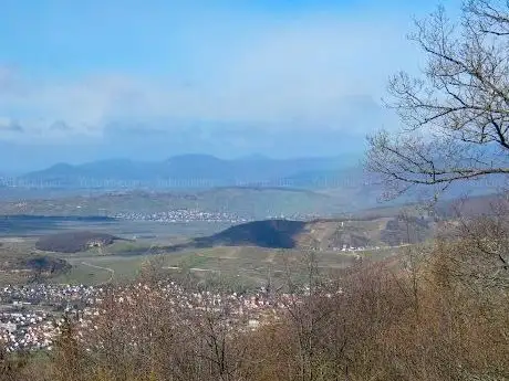 Photo de Point de vue du Château du Hohlandsbourg