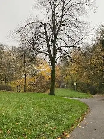 Photo de Park - Goethestraße