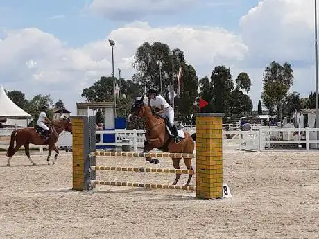 Photo de Villaggio Equestre