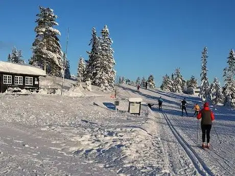 Photo de Liatoppen Fjellpark