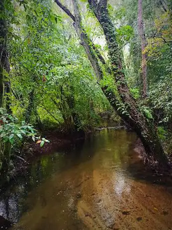 Photo de Merendero Bamonde