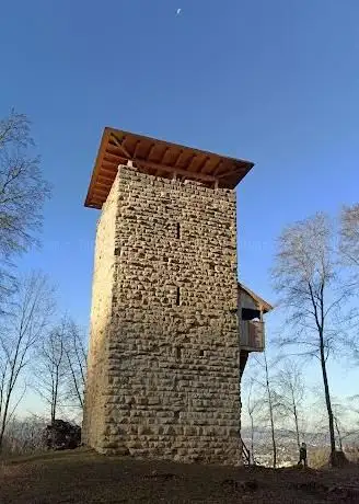 Photo of Alt-Wülflingen Castle