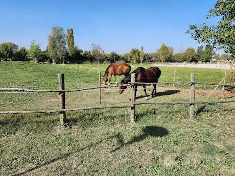 Photo de Asd Cà di Nini