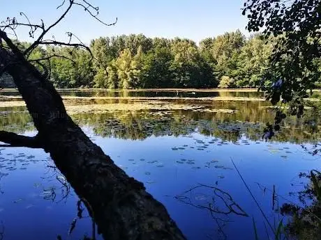 Photo de Nordfeldweiher