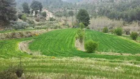 Photo de Parc de Batoi