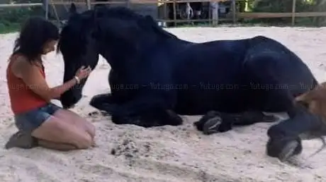 Photo de Sei wie du bist! by Alexandra Szabó