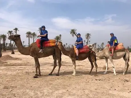 Photo de Marrakech Budget Tours