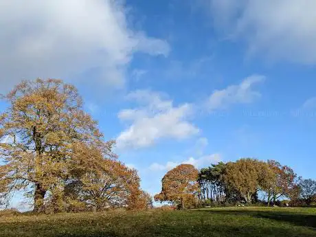 Photo de Hampstead Heath Tumulus