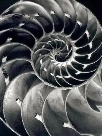 Photo de Alfred Ehrhardt Foundation
