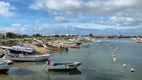 Photo de Ria Formosa Boat Tours - Animaris Desert Island