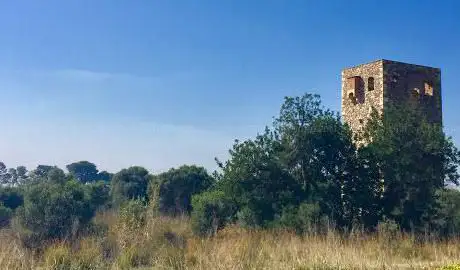 Photo de Torre del Mas del Bisbe (XVI century)