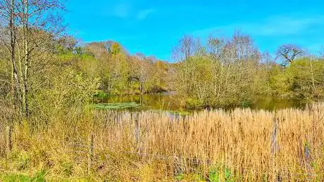 Photo de Salt Line And Wheelock Rail Trail