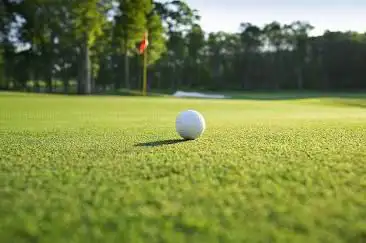 Photo de Golf des Sarrays