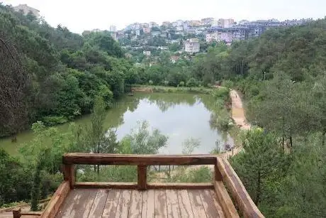 Photo de Ataturk Urban Forest