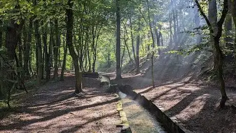 Photo de Hasselbach