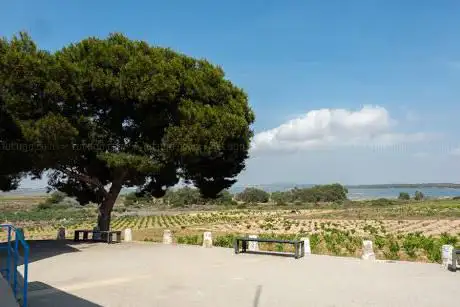 Photo de Laguna De La Mata (Viewing Point)