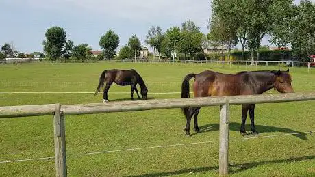 Photo de Tussetto horse club