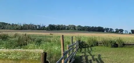 Photo de Ponyland Ebental